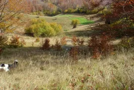 Stari Laz-poljoprivredni teren, Mrkopalj, Terreno