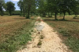 Istra,Sveti Vital ,kompleks građevinskih i poljoprivrednih  zemljišta, Vižinada, Land