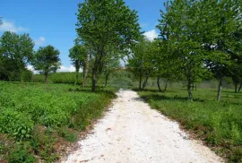 Istra,Sveti Vital ,kompleks građevinskih i poljoprivrednih  zemljišta, Vižinada, Land