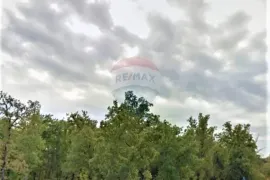 Istra,Momjan,Građevinsko zemljište s idejnim projektom, Buje, Terreno