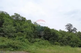 Jurdani - veliki teren s infrastrukturom za poslovnu i poslovno-stambenu gradnju, Matulji, Land