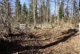 Lučice, Delnice - atraktivan teren za gradnju obiteljskih kuća, vikendica, 6.919 m2, Delnice, Zemljište