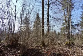 Lučice, Delnice - atraktivan teren za gradnju obiteljskih kuća, vikendica, 6.919 m2, Delnice, Zemljište