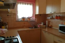 Dajla, kuća sa 4 apartmana, Novigrad, Famiglia