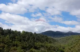 Obiteljska kuća, IKA-CENTAR, HITNA PRODAJA-PRILIKA!!, Opatija - Okolica, Σπίτι