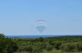 Vabriga,zemljište  na osami,pogled more,500m od mora.Jedinstvena parcela, Poreč, Terra