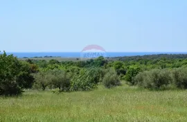 Vabriga,zemljište  na osami,pogled more,500m od mora.Jedinstvena parcela, Poreč, Terra