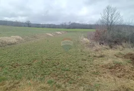 Istra, Pazin, Batlug - građevinsko zemljište, Gračišće, Zemljište