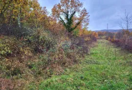 Istra, Cunjci - građeinski teren i ruševna kuća u nizu sa imanjem, Buzet, Kuća