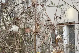 PRODAJA KUĆE NA JORDANOVCU – ODLIČNA PRILIKA, Zagreb, Σπίτι