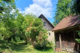 Kuća i 33800m2 zemljišta u Gorskom kotaru, Skrad, House