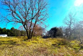 Istra,Umag-Savudrija-Građevinsko zemljište mogućnost parcelacije, Umag, Γη