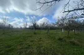 Istra, Poreč okolica - građevinsko zemljište otvorenog pogleda, Poreč, Земля