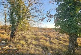 Istra, Grožnjan- poljoprivredno zemljište, Grožnjan, Terra