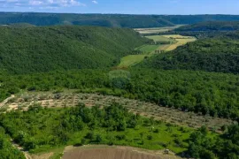 Istra,Buje,okolica-Vila s panoramskim pogledom, Buje, Casa