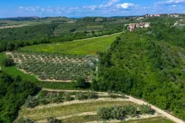 Istra,Buje,okolica-Vila s panoramskim pogledom, Buje, Ev