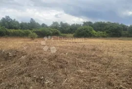 Građevinska parcela na mirnoj lokaciji, Marčana, Terreno