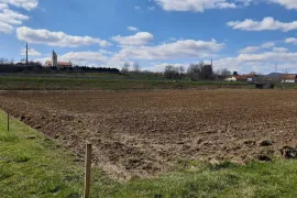 Prodaje se kuća s imanjem i pomoćnim objektima, Visoko, House