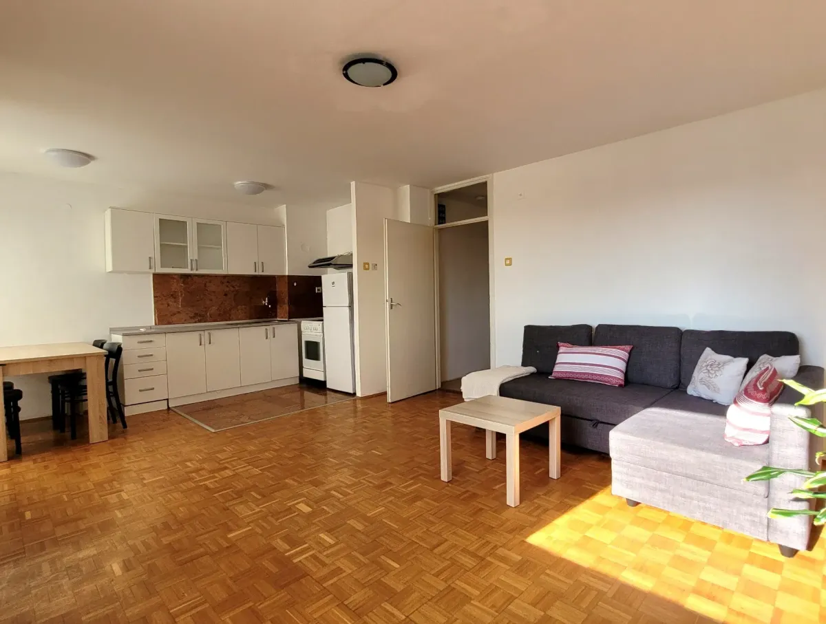 Block 28, Bulevar Arsenija Čarnojevića , Beograd, Flat