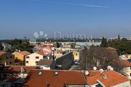 Prvi red do mora, Novigrad, Flat