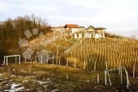 PRILIKA !!! Kuća za turizam u Zagorju, Mihovljan, Famiglia