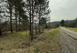 MATULJI, PASJAK - Poljoprivredno zemljište 2.881m2, Matulji, Arazi