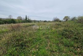 ISTRA, BRTONIGLA - Građevinsko zemljište s pogledom na more, Brtonigla, Terrain