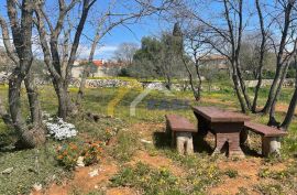 Građevinsko zemljište - 2000 M2 - Divšići !, Marčana, Land