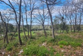 ISTRA, BALE Poljoprivredno zemljište s pogledom na more, Bale, Terreno