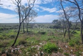 ISTRA, BALE Poljoprivredno zemljište s pogledom na more, Bale, Terreno