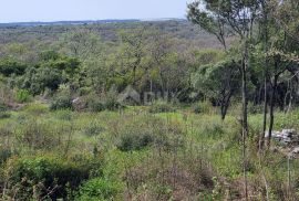 ISTRA, BALE Poljoprivredno zemljište s pogledom na more, Bale, Terreno