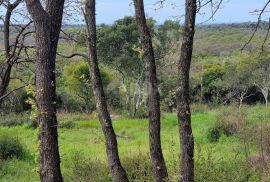 ISTRA, BALE Poljoprivredno zemljište s pogledom na more, Bale, Terreno