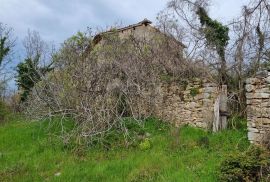 ISTRA, LABIN - Imanje zavidne veličine, Labin, Casa