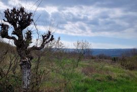 ISTRA, LABIN - Imanje zavidne veličine, Labin, Casa