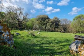 ISTRA, RABAC - Prostrano imanje na očaravajućoj lokaciji, Labin, Ev