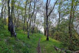 ISTRA, RABAC - Prostrano imanje na očaravajućoj lokaciji, Labin, Ev