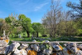 ISTRA, RABAC - Prostrano imanje na očaravajućoj lokaciji, Labin, Ev