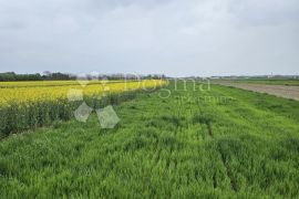 Zemljište u Trnovcu, Trnovec Bartolovečki, Land