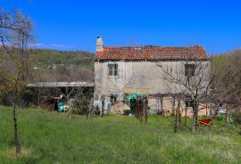 Labin, okolica, istarska kuća na velikom imanju, Labin, Ev