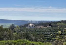 ISTRA, BUJE - Građevinsko zemljište na rubu naselja s pogledom na more i prirodu, Buje, Γη