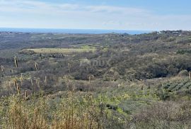 ISTRA, BUJE - Građevinsko zemljište s otvorenim pogledom na more i građevinskom dozvolom, Buje, Tierra