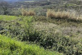 ISTRA, BUJE - Građevinsko zemljište s otvorenim pogledom na more i građevinskom dozvolom, Buje, Tierra