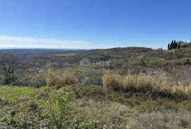 ISTRA, BUJE - Građevinsko zemljište s otvorenim pogledom na more i građevinskom dozvolom, Buje, Tierra