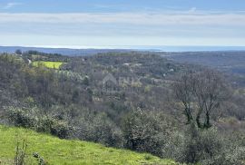 ISTRA, BUJE - Građevinsko zemljište s otvorenim pogledom na more i građevinskom dozvolom, Buje, Tierra