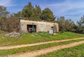 Rovinj, okolica, stancija s pogledom na more, Rovinj, Tierra