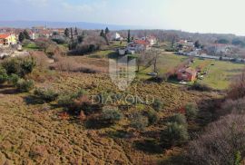 Barban, Jug Istre, građevinsko zemljište, Barban, Land