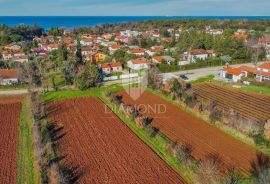 Umag okolica, prostrano zemljište 450 m od mora!, Umag, Terreno