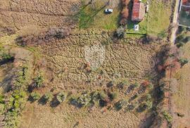 Barban, okolica, građevinsko zemljište na dobroj lokaciji, Barban, Terrain