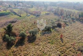 Barban, okolica, građevinsko zemljište na dobroj lokaciji, Barban, Terrain