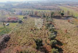 Barban, okolica, građevinsko zemljište na dobroj lokaciji, Barban, Terrain